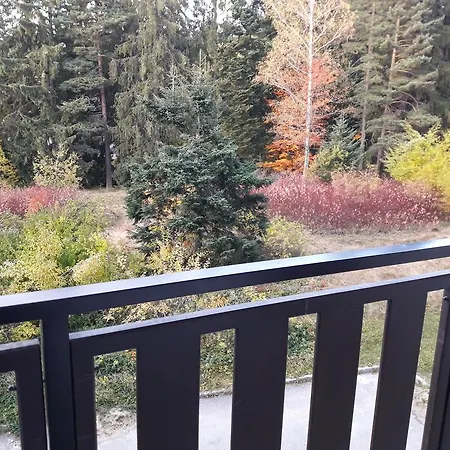 Sdl Borovets Gardens *