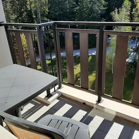 Sdl Borovets Gardens Apartment Belchin